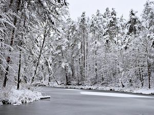 Sukcesy fotografów